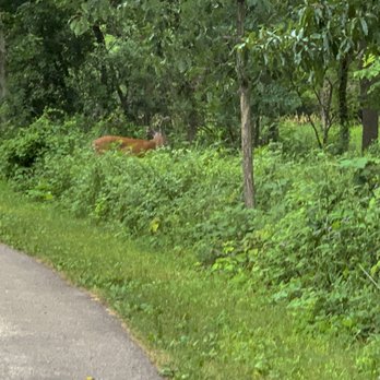 Elm Grove Park - Parks Near Me - Elm Grove, Wisconsin