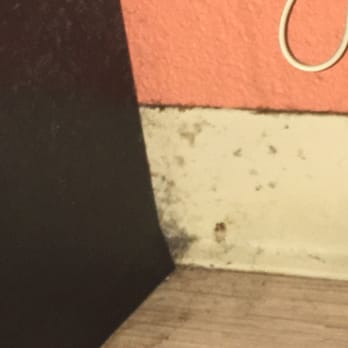 Motel 6 - Near the bed. - Hotels Near Me - Carpinteria, California Motel 6 - Near the bed. - Hotels Near Me - Carpinteria, California