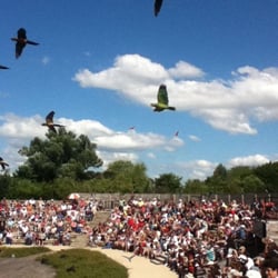 Camping  Parc des Oiseaux