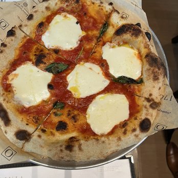 OLIVIA - Margherita Pizza - Italian Near Me - Tampa, Florida OLIVIA - Margherita Pizza - Italian Near Me - Tampa, Florida