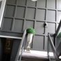 Photo of IVY BUILD