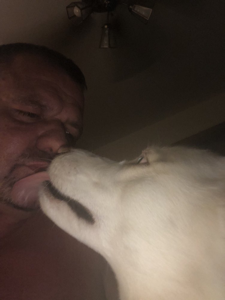 Slide of All Pro Renovations