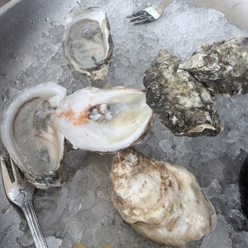 Crab and Fin - oysters - Seafood Near Me - Sarasota, Florida Crab and Fin - oysters - Seafood Near Me - Sarasota, Florida