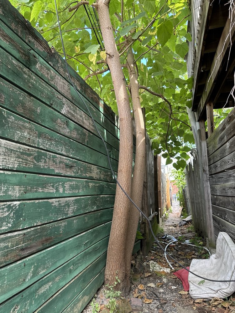 Get It Gone Bros & Co - tree service in Allentown, PA