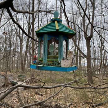 South Mountain Fairy Trail - Kids Activities Near Me