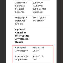 Travel Insured International