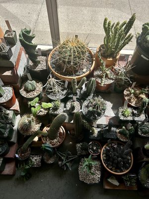 Public Land Store by null