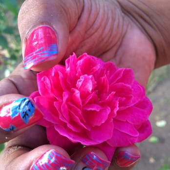 Blink Nails - Lashes - Nail Salons Near Me - Watertown, Massachusetts