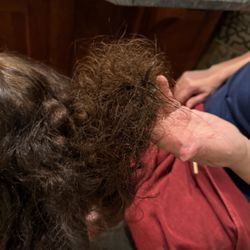 Dolce Vita Salon and Spa