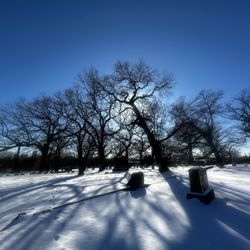 Rosehill Cemetery - Rosehill Cemetery. Revenswood. .