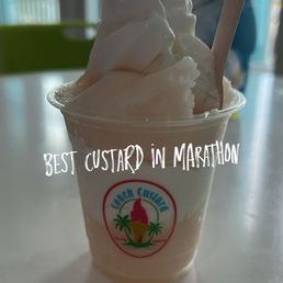 Pineapple gelato and vanilla custard