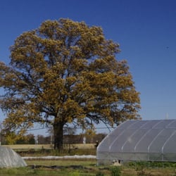Boulder Belt Eco-Farm