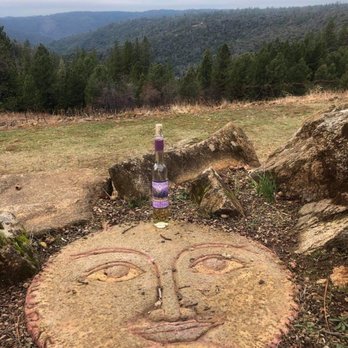 Wofford Acres Vineyards - Bucket list crossed off - Wineries Near Me - Camino, California Wofford Acres Vineyards - Bucket list crossed off - Wineries Near Me - Camino, California