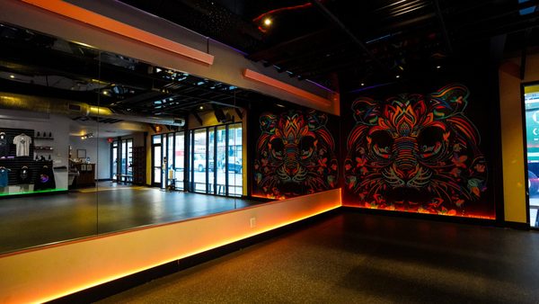 Black Swan Yoga - Orchard