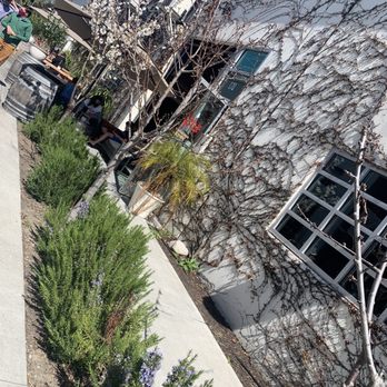 Pax Wines - Pax Winery - Wine Tasting Room Near Me - Sebastopol, California
