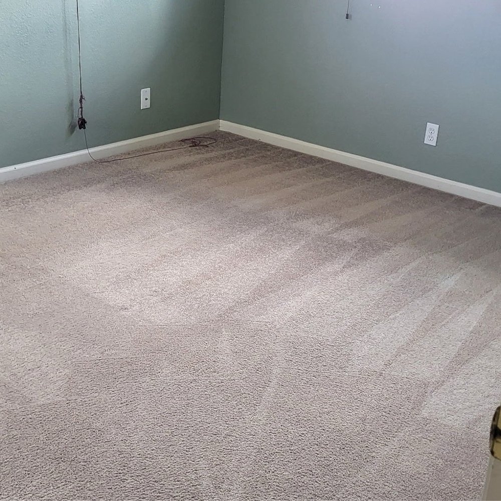 Kiwi Carpet Cleaning - Carpet Cleaning Near Me - Honolulu, Hawaii Kiwi Carpet Cleaning - Carpet Cleaning Near Me - Honolulu, Hawaii
