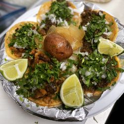 Tacos Losoyas Express - Minitacos