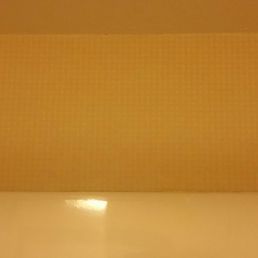 Dated Wall Paper