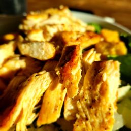 Grilled Chicken Club Sandwich