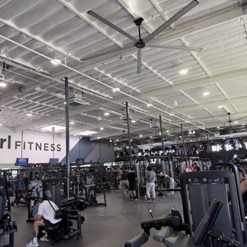 Curl Fitness - Gyms Near Me - Costa Mesa, California Curl Fitness - Gyms Near Me - Costa Mesa, California