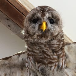 Croydon Creek Nature Center