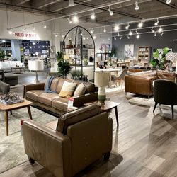 Red Knot Pearlridge