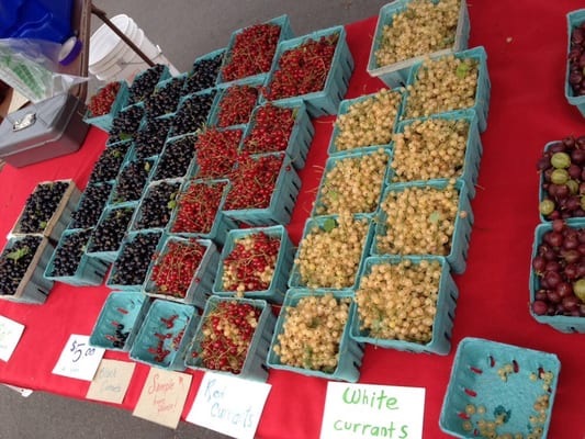 Southwest Farmers Market by null