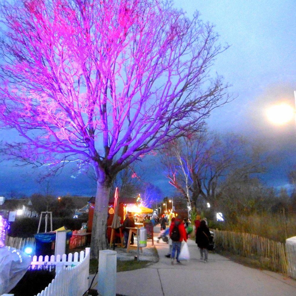 Adventmarkt Blumengärten Hirschstetten - Rear entrance to the Hirschstetten Gardens - Christmas Markets Near Me - Vienna, 9