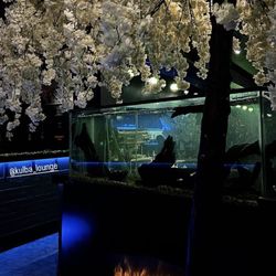 Kulba Lounge - Inside