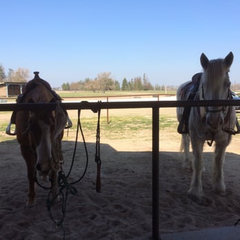 Central Coast Trailrides - Horseback Riding Near Me