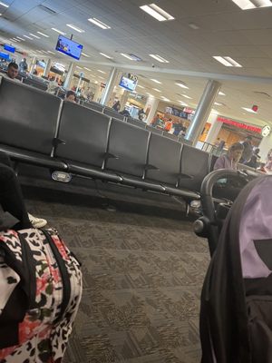 American Airlines by null