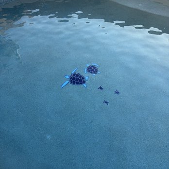 The Pool Magician - Pool Cleaners Near Me - Glendale, Arizona The Pool Magician - Pool Cleaners Near Me - Glendale, Arizona