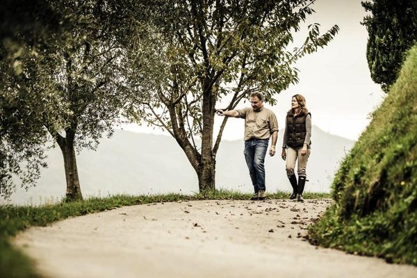Tenuta Castello di Morcote by null
