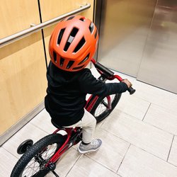 Gregg's Greenlake Cycle Gift Greeting Cards Email, Text or