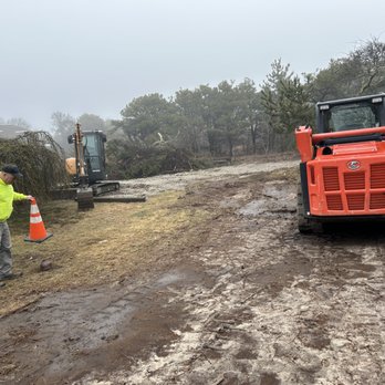 Treeworks - Lot clearing and grading - Tree Services Near Me