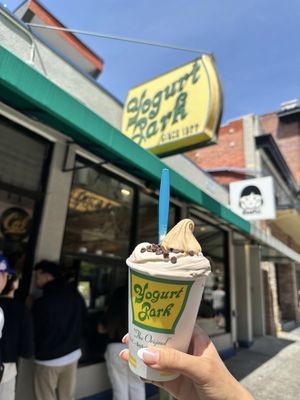 Yogurt Park by null