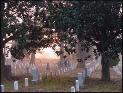 Arlington National Cemetery by null