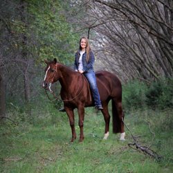 Silver Creek Stables