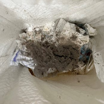 Maggy Maid - This is what I vacuumed up from the carpets and rugs the same day they supposedly cleaned my house. - Home Cleaning Near Me - Los Angeles, California