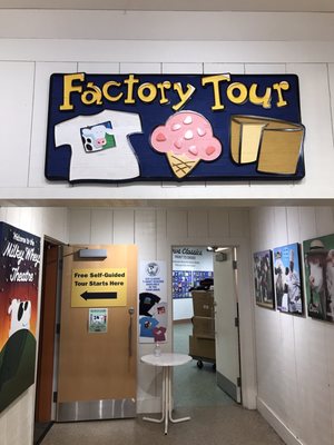 COWS Creamery by null