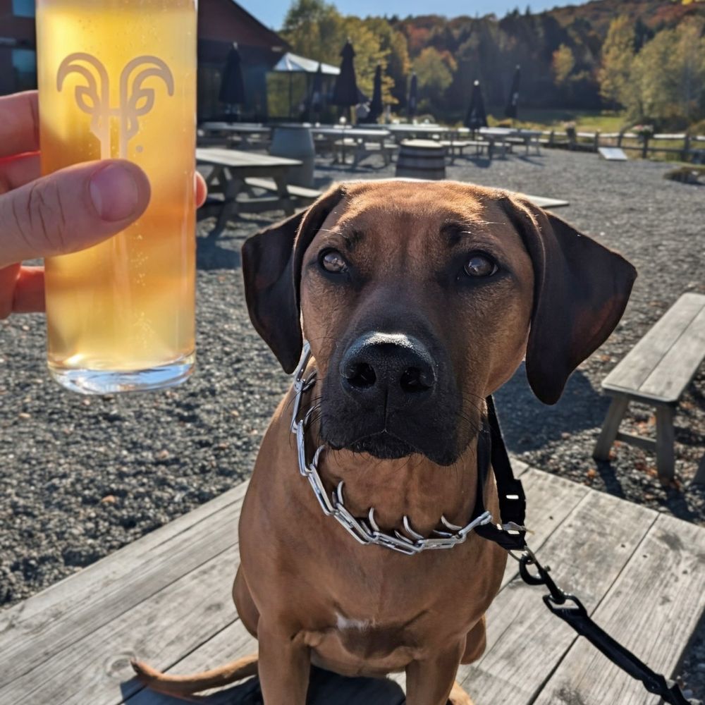 Von Trapp Brewing Bierhall Restaurant - Tasty beer - Austrian Near Me - Stowe, Vermont