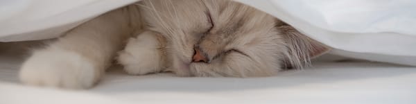 Masterpeace Center for Counseling and Development