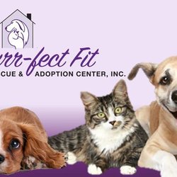 A Purr-fect Fit Animal Rescue & Adoption Center - Photo from Purr-fect Fit's Facebook Page, https://www.facebook.com/apurrfectfitrescue/