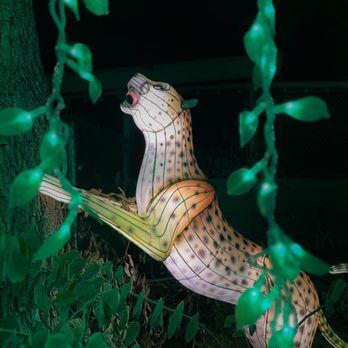 LA Zoo Lights - My favorite because he was one of the only animals placed incognito, caught him in my peripheral and thought IT was real for a sec! LOVE - Zoos Near Me - Los Angeles, California LA Zoo Lights - My favorite because he was one of the only animals placed incognito, caught him in my peripheral and thought IT was real for a sec! LOVE - Zoos Near Me - Los Angeles, California