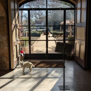 Charles Krug Winery - Beautifully framed views - Venues & Event Spaces Near Me - St. Helena, California