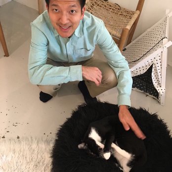 KitTea - Pet Adoption Near Me - San Francisco, California