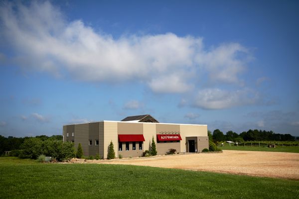 Alto Vineyards by null