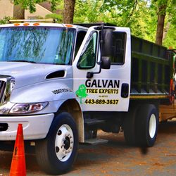 Galvan Tree Service