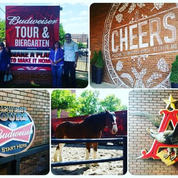 Budweiser Brewery Experience - Beer Tours Near Me - Saint Louis, Missouri