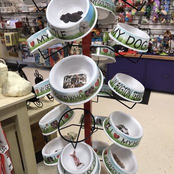 Hello Cats and Dogs - Pet Stores Near Me - Frankenmuth, Michigan Hello Cats and Dogs - Pet Stores Near Me - Frankenmuth, Michigan